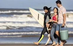 Go Bar Portable 4.3 Gallon Cooler - Green