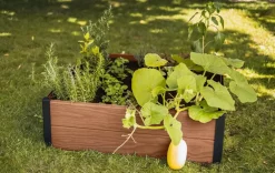 Maple Raised Garden Bed - Brown
