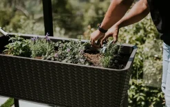 Splendor 31.7 Gallon Elevated Garden Bed - Brown