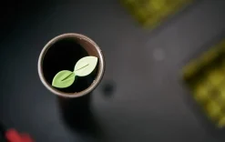 Urban Bloomer 12.7 Gallon Elevated Garden Bed - Graphite